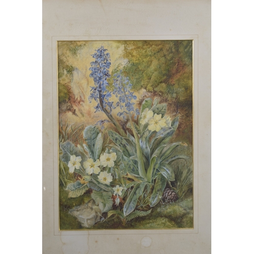 51 - VICTORIAN SCHOOL study of marigolds and hyacinth, watercolour 14.5