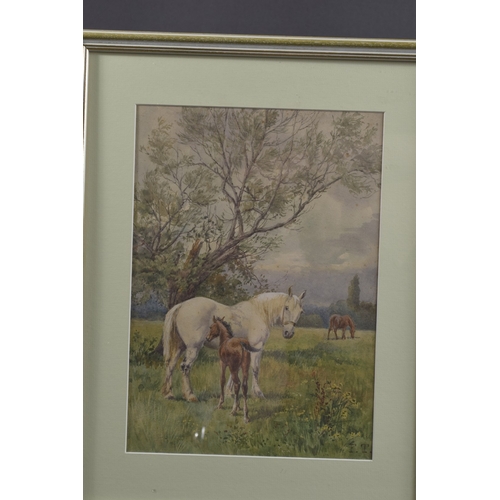 61 - LATE 19TH / EARLY 20TH CENTURY Horses and foal in a pasture, watercolour, initialled F.T. 13.25