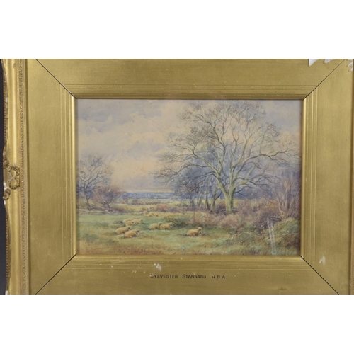 62 - SYLVESTER STANNARD RBA (1870-1951) Landscape with sheep grazing in a meadow, watercolour, signed, 9