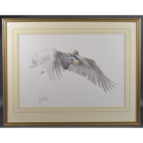 78 - 20TH CENTURY SCHOOL Bird in flight, watercolour, indistinctly signed, 18