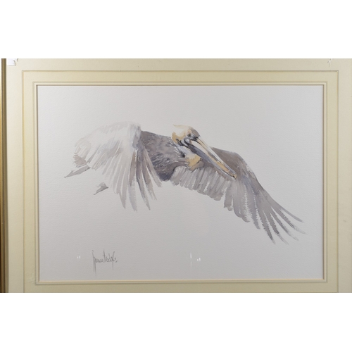 78 - 20TH CENTURY SCHOOL Bird in flight, watercolour, indistinctly signed, 18