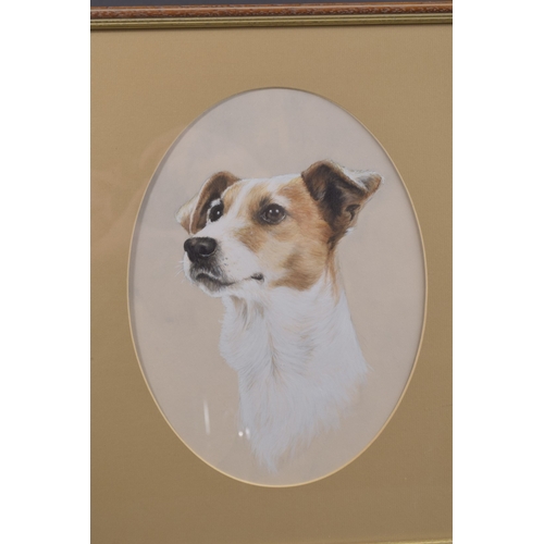 81 - ENGLISH SCHOOL (LATE 20TH CENTURY) Study of a Jack Russell terrier, watercolour and gouache, oval mo... 