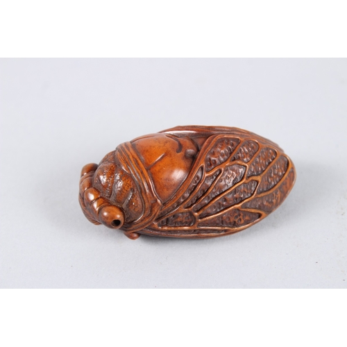 142 - A CARVED WOOD CICADA FLY. 2.75ins.