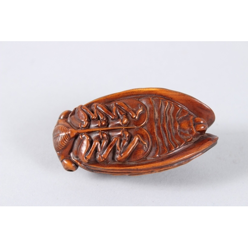142 - A CARVED WOOD CICADA FLY. 2.75ins.