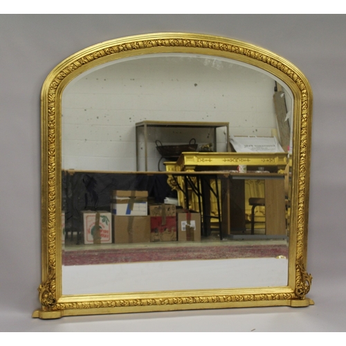 Lot 24        