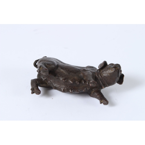105 - A JAPANESE BRONZE OKIMONO SOW. 7.5cms.