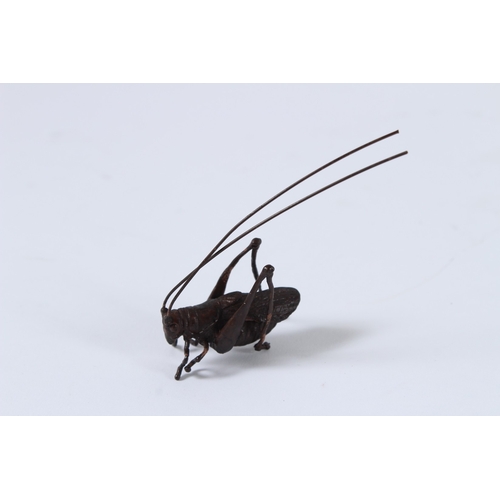 98 - A JAPANESE BRONZE OKIMONO LONG HORN BEETLE. 6cms.