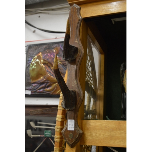 547 - A pair of oak and antler coat or hat hooks.