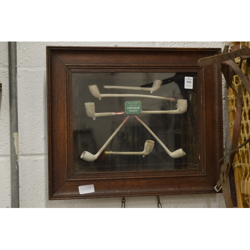 556 - An oak cased display of clay pipes and a tin of snuff.