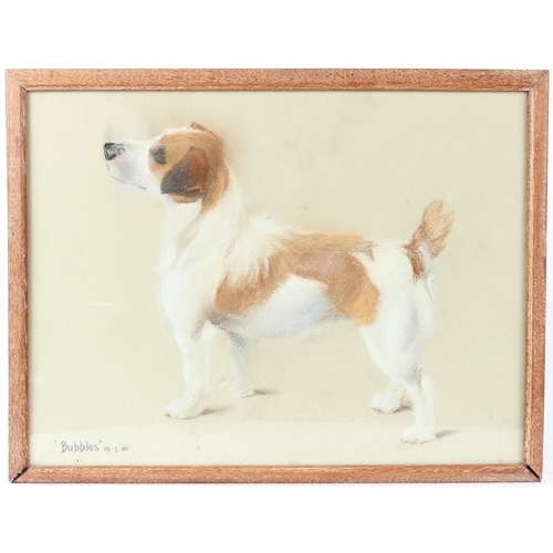 10 - PHYLIS BINET (20TH CENTURY)
Jack Russell terrier
'Bubbles'
pastel
inscribed and dated 19.7.55
36.5 x... 