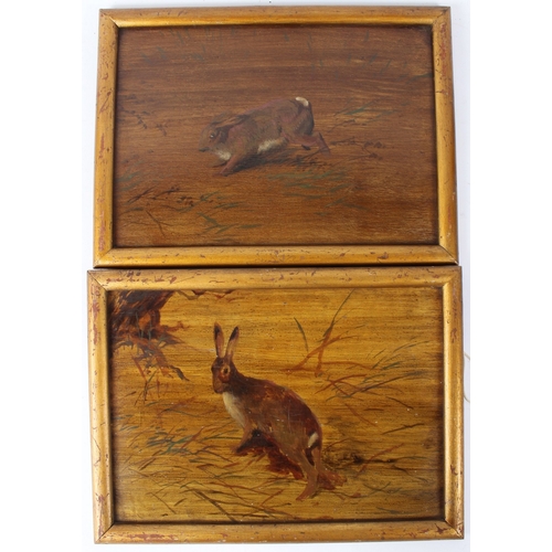 18 - 19TH CENTURY SCHOOL  'Hare' and 'Rabbit'  pair of oils on boards  inscribed verso  24.5 x 35cm (2)