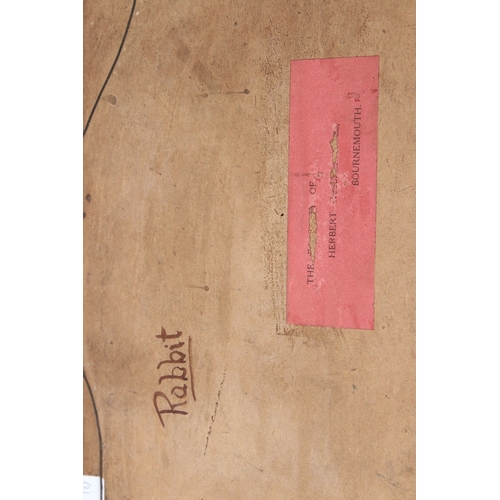 18 - 19TH CENTURY SCHOOL  'Hare' and 'Rabbit'  pair of oils on boards  inscribed verso  24.5 x 35cm (2)