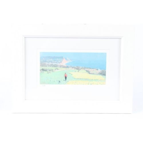 186 - STEPHEN BROWN (b.1947)  Cliff top view  signed with initails  11 x 23cm