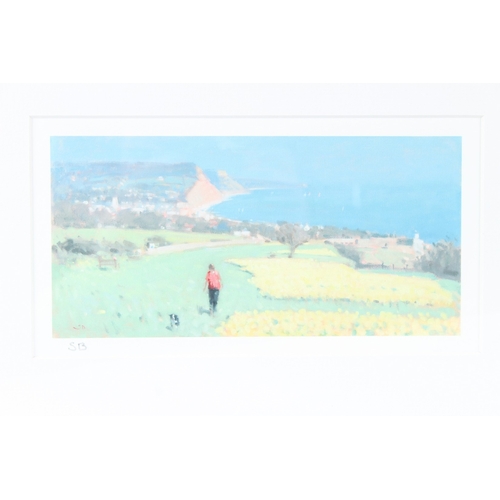 186 - STEPHEN BROWN (b.1947)  Cliff top view  signed with initails  11 x 23cm