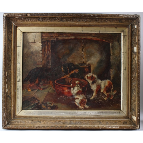 192 - CIRCLE OF GEORGE ARMFIELD  Four dogs by a fireside bran tub  oil on board  43 x 54cm