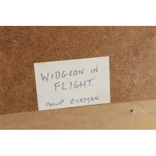 26 - PHILIP RICKMAN (1891-1982)  'Widgeon in Flight'  watercolour  signed in pencil  16 x 25.5cm
