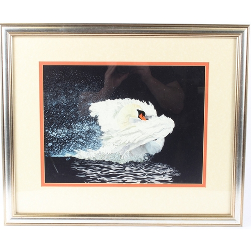 38 - AURIOL ANNETTE HART (d.2009)  Mute swan  gouache and watercolour  signed  28 x 38cm