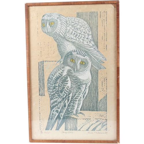 67 - JAMES T A OSBORNE
'Snowy Owls'
linocut (a/f)
signed in pencil, inscribed and numbered 8/30
50 x 29 (... 