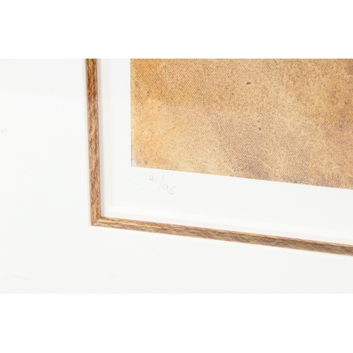 102 - CHARLOTTE ATKINSON (b.1973)  'Masquerade'  colour print 41/95  signed and titled in pencil  72 x 47c... 