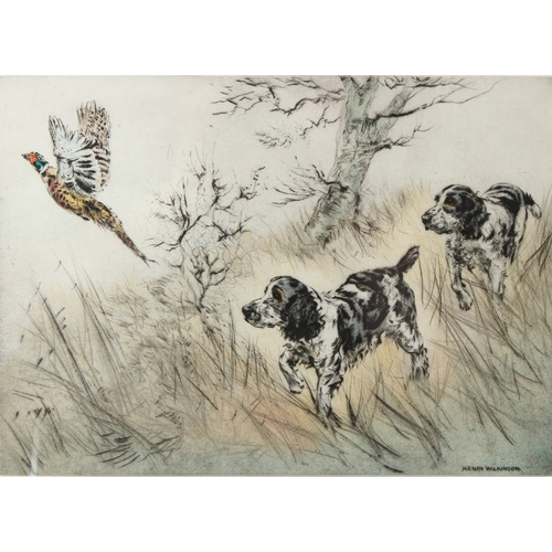 106 - HENRY WILKINSON  Spaniels putting up a pheasant  colour etching  signed and numbered 58/100 in penci... 