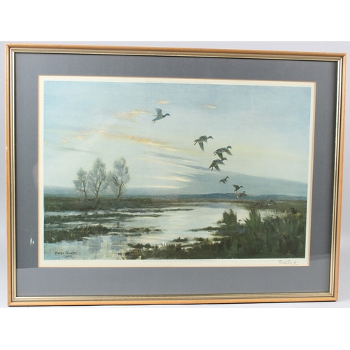 107 - PETER SCOTT  Mallards flighting in  colour print  signed in pencil  Trade Guild blindstamp  publishe... 
