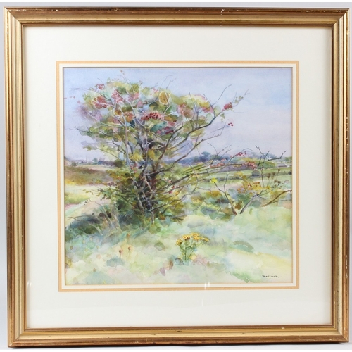 204 - STEWART LOWDON  'Hawthorne and Ragwort, St Enodoc'  watercolour  signed  artists label verso  34.5 x... 