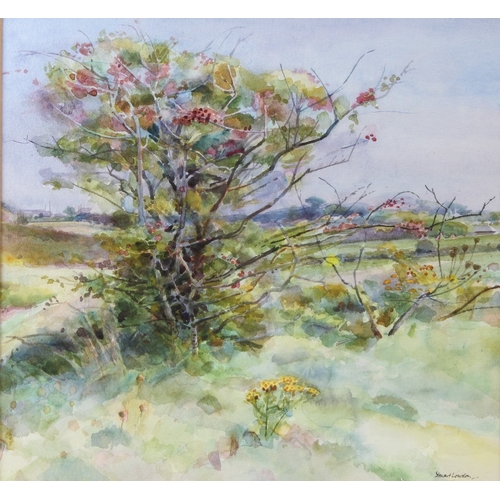 204 - STEWART LOWDON  'Hawthorne and Ragwort, St Enodoc'  watercolour  signed  artists label verso  34.5 x... 