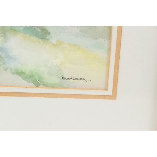 204 - STEWART LOWDON  'Hawthorne and Ragwort, St Enodoc'  watercolour  signed  artists label verso  34.5 x... 