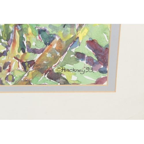 219 - CLARE HACKNEY  Cockerel and chicken  watercolour  signed and dated '93  72.5 x 54cm