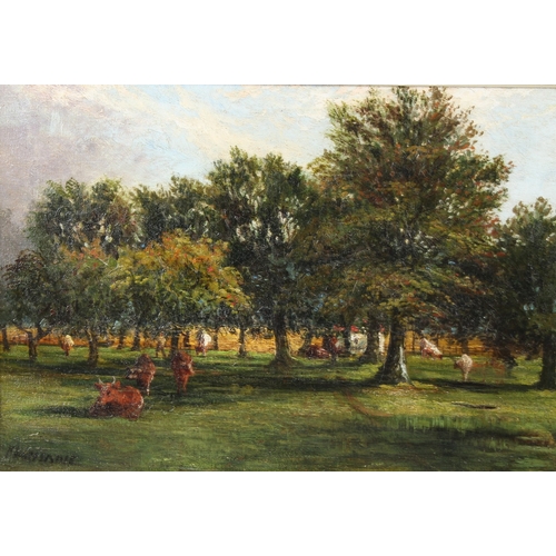 305 - 19TH CENTURY SCHOOL  Cattle grazing in an orchard  oil on canvas  signed indistinctly  41 x 59cm