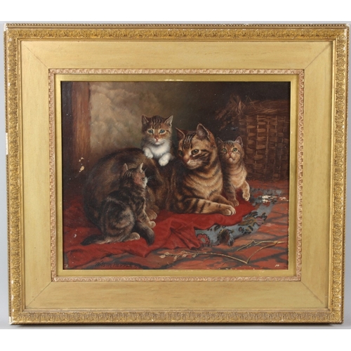 309 - WILSON HEPPLE  Cat and kittens  oil on canvas  signed and dated '93  37 x 45cm