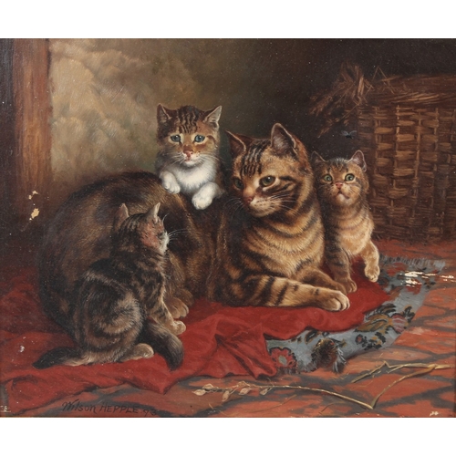 309 - WILSON HEPPLE  Cat and kittens  oil on canvas  signed and dated '93  37 x 45cm