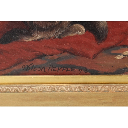 309 - WILSON HEPPLE  Cat and kittens  oil on canvas  signed and dated '93  37 x 45cm