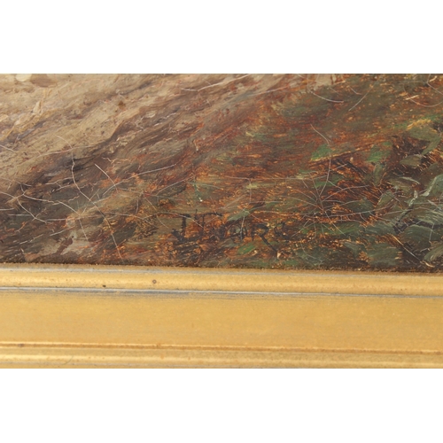 310 - JOSEPH THORS (1835-1920)  Woodcutter off a woodland path  oil on canvas  signed  50 x 75cm