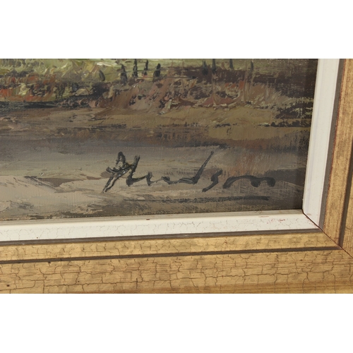 322 - 20TH CENTURY SCHOOL  Thatched cottages and trees  oil on canvas  signed indistinctly Hudson?  68 x 7... 