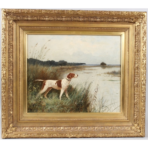 359 - JEAN CHIFFONY  Pointer hound in a reedbed  oil on canvas  signed  36.5 x 43.5cm
