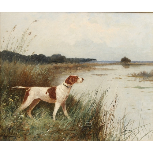 359 - JEAN CHIFFONY  Pointer hound in a reedbed  oil on canvas  signed  36.5 x 43.5cm
