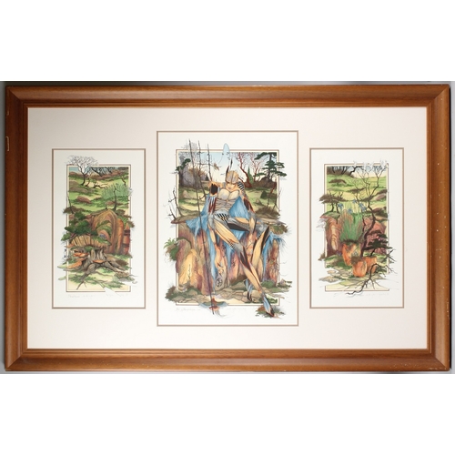 71 - GRAHAM ILLINGWORTH (1953)  'Act of Benevolence'  triptych silkscreen print 12/25  central panel 70 x... 