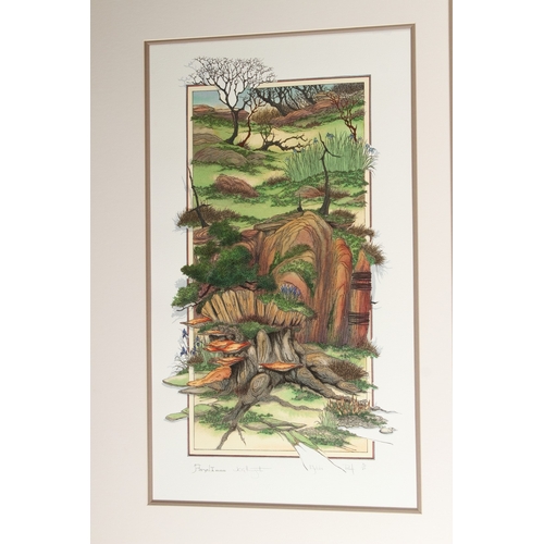 71 - GRAHAM ILLINGWORTH (1953)  'Act of Benevolence'  triptych silkscreen print 12/25  central panel 70 x... 