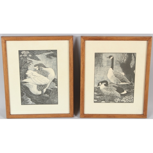 95 - C F TUNNICLIFFE  'Gander'  wood engraving  and another of geese  pair each 25 x 20cm (2)