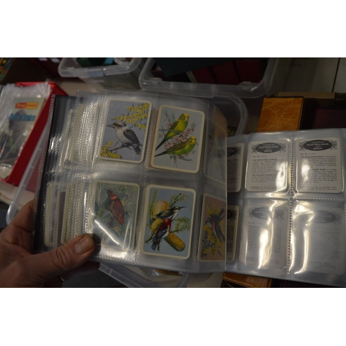 740 - Cigarette album, Kinkara Tea Bird Studies.