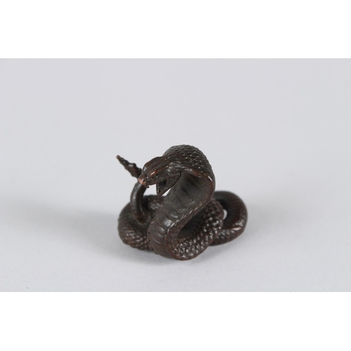 15 - A JAPANESE BRONZE SNAKE.  1.5cms high.