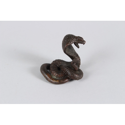 15 - A JAPANESE BRONZE SNAKE.  1.5cms high.