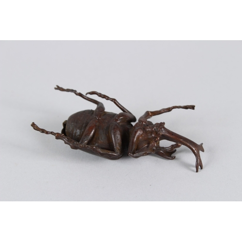 18 - A JAPANESE ARTICULATED LONG NOSE JUNGLE BEETLE.  9cms long.