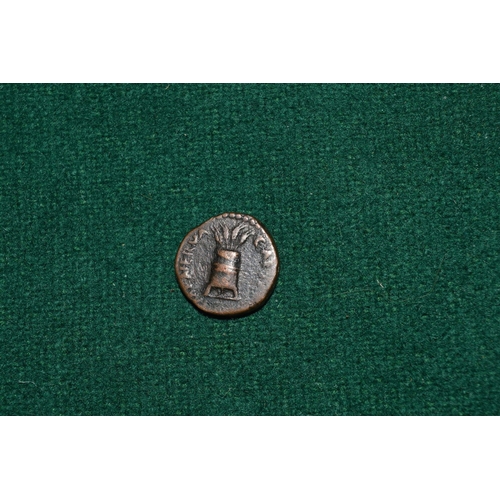 1137 - A small Roman bronze coin.