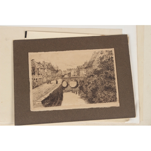 Lot 23        