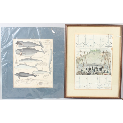 Lot 29        