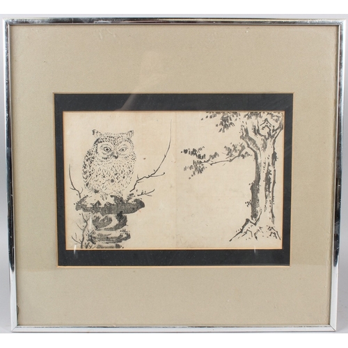 Lot 53        