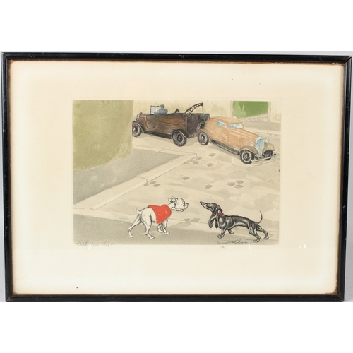 Lot 6         