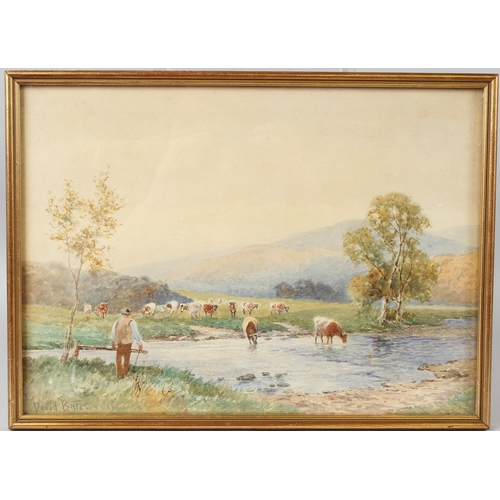 Lot 34        